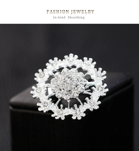 Macro shot of a silver snowflake brooch with sparkling crystals on a black display box