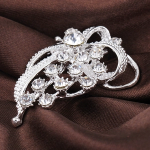 Macro view of silver feather brooch with sparkling rhinestones and beaded edge details