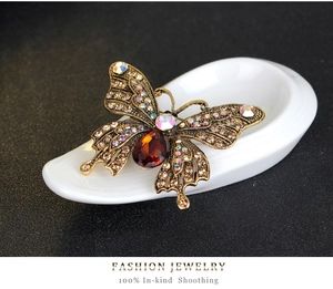 Detailed macro view of butterfly brooch with white rhinestones and large red gemstone