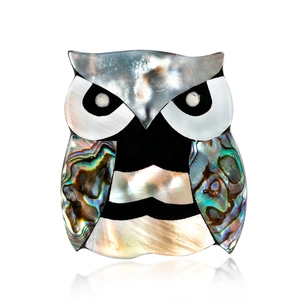 Retro uil broche met iriserende abalone schelp en parelmoer op een witte achtergrond