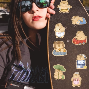 Détail montrant huit autocollants de capybara mignons sur un skateboard et un sac photo