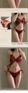 Close-up detail of red sheer mesh lingerie set with butterfly embroidery and tie ribbons