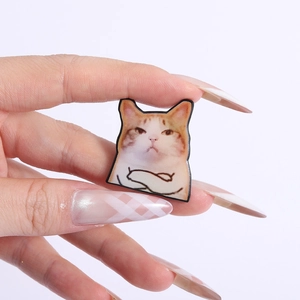 Detailed view of an orange white cat brooch featuring a funny facial expression