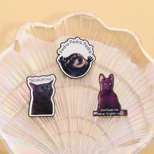 Funny enamel pin set featuring viral meme cat and raccoon designs on an iridescent tray