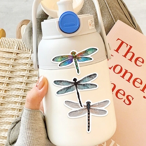 Off-white large water bottle with colorful dragonfly stickers and hand-held design