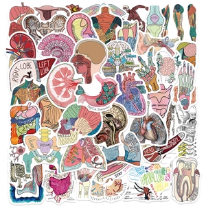 Menschliche Anatomische Organe Medizinische Wissenschaft Illustration Wasserdichte PVC Dekorative Aufkleber Für Laptop Journal Scrapbooking