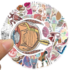 50 wasserfeste Anatomie-Aufkleber mit detaillierten medizinischen Organ-Designs für Studenten