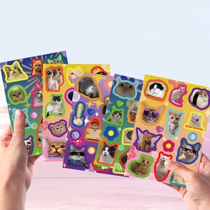 Funny cat emoji sticker set with colorful borders for DIY phone case and luggage decoration