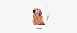Détail montrant les dimensions d'un autocollant Golden Retriever avec une fleur