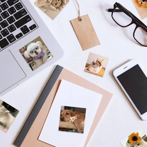 Custom pet photo stickers shown on a laptop and notebook in a cozy home office setting