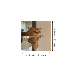 Detailed size specifications for a cream cat hammock with green leaf pattern and orange cat