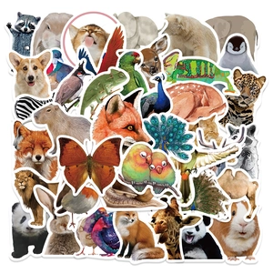 Detailed close-up showing diverse animal world stickers including lions and giraffes for DIY decor
