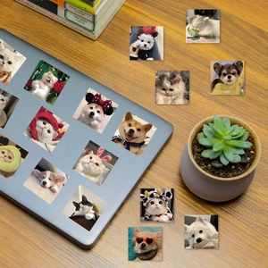 Set of 100 cute cat and dog stickers for phone cases and scrapbooks decoration