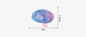 Detail view of a purple jellyfish sticker showing dimensions 6cm width and 4.89cm height