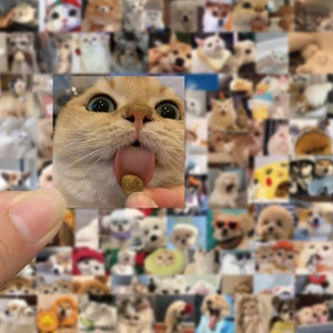 Close-up of waterproof cute cat and dog stickers for phone cases and water bottles