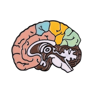 Punk colorful brain anatomy enamel brooch badge with rainbow color zones on white background