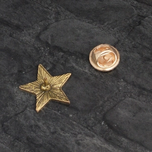 Macro shot of communist star brooch back showing pin needle and metal butterfly clasp