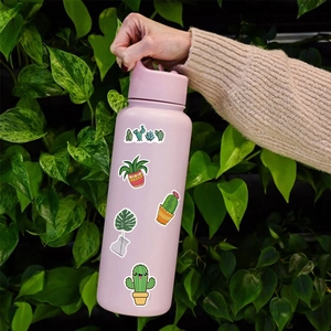 Cactus plant stickers applied on a pink insulated water bottle held in hand