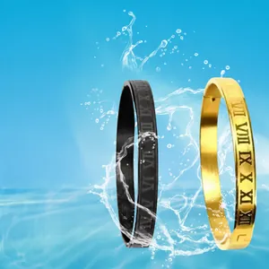 Classic titanium steel bracelets featuring engraved Roman numerals in gold and black colors