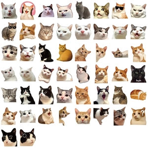 Set of 50 waterproof transparent PET cat stickers with funny expressions for scrapbooking