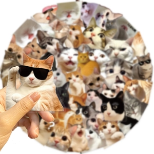 Close-up of funny meme cat sticker on a vintage waterproof transparent PET scrapbooking decal