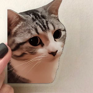 Detail showing a cute tabby cat sticker with a transparent border held by hand