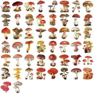 50 vintage mushroom stickers set made of clear waterproof PET for journal decoration