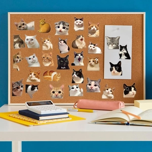 Detailed view of waterproof transparent cat meme stickers on a corkboard with stationery