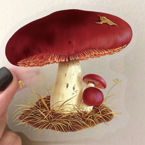 Detailed view of hand-held transparent PET mushroom sticker with realistic forest design