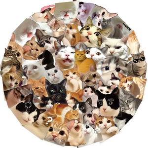 Detailed collage of waterproof transparent vintage cat stickers for journals and laptops