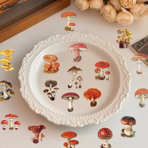 Close-up of vintage mushroom stickers with botanical illustrations on a white ceramic plate