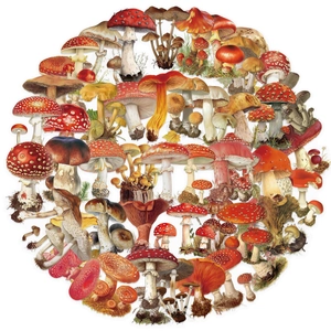 50pcs waterproof vintage mushroom stickers made of clear PET for scrapbooking and laptops
