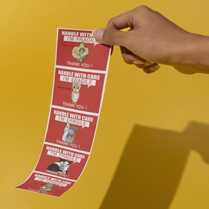 Fragile warning labels roll with funny memes and Handle With Care text for safe shipping