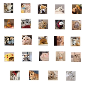 Detail of 24 cute cat and dog stickers with animal hats and scarves for decoration