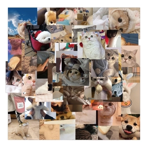 Detailed view of 48 waterproof cute cat and dog graffiti stickers for luggage decoration