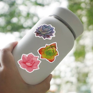 Waterproof succulent stickers on a white water bottle with natural blurred background