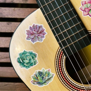 Macro view of watercolor succulent stickers on a guitar surface for DIY decor