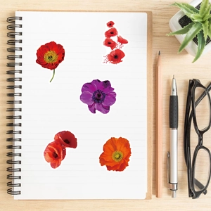 Vue détaillée d'autocollants floraux de pavot colorés sur un carnet à spirales sur un bureau