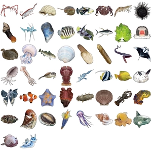 Lot de 50 stickers colorés de créatures marines pour décorer ordinateurs et guitares