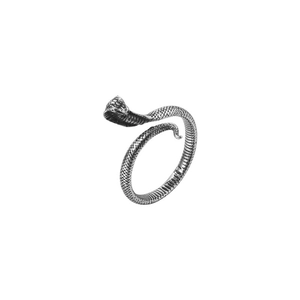 Detailed macro shot of vintage silver snake ring with realistic textured scale patterns