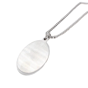 Silver stainless steel box chain necklace with oval pendant featuring brushed metal finish