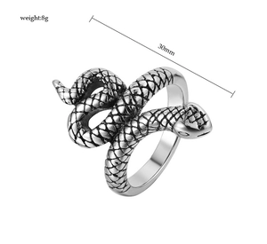 Détail macro de bague serpent punk vintage avec texture d'écailles et dimensions