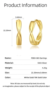 Detailed size specifications for S925 sterling silver Mobius twist hoop earrings