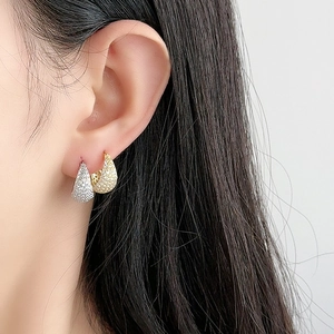 Luxe micro-paved pavé hoop earrings in gold and silver finish with white zircon accents