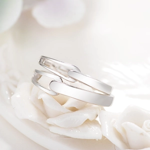 Macro shot of silver Mobius rings on ceramic rose petals with polished finish details
