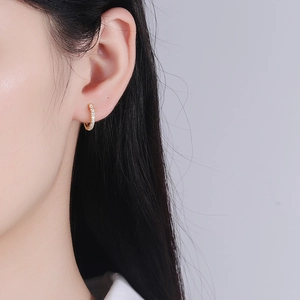 Elegant gold S925 silver hoop earrings with micro-paved sparkling cubic zirconia for women