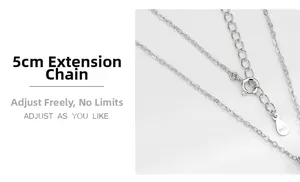 Detailed view of S925 sterling silver necklace with a 5cm adjustable extension chain