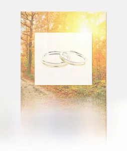 Detail showing S925 sterling silver couple rings with gold frosted band inlay and stamps