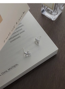 Macro detail of brushed S925 silver iris earrings with zircon on a lifestyle prop