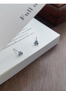 Gros plan artistique de boucles d'oreilles iris bleu en argent S999 sur un livre blanc